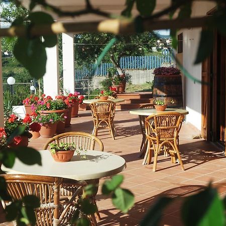 B&B Cilentum Agropoli Bagian luar foto
