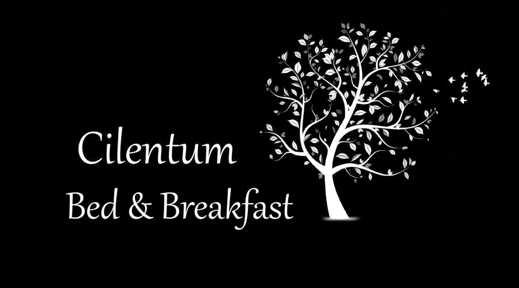 B&B Cilentum Agropoli Bagian luar foto