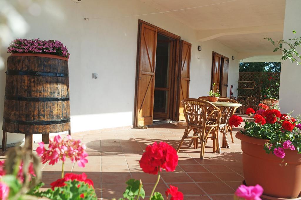 B&B Cilentum Agropoli Bagian luar foto