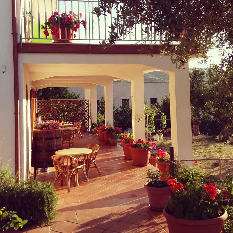 B&B Cilentum Agropoli Bagian luar foto