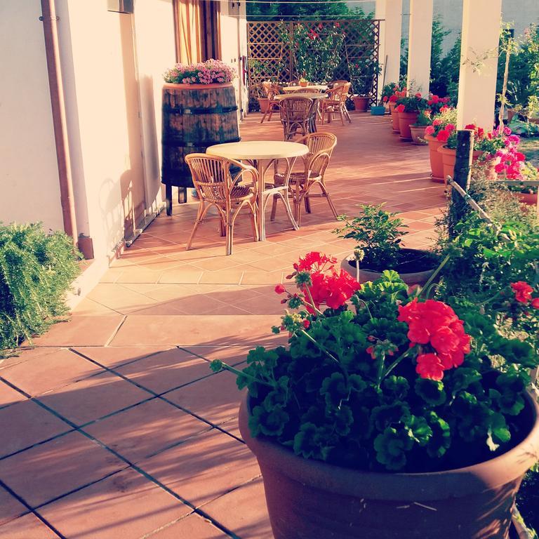 B&B Cilentum Agropoli Bagian luar foto